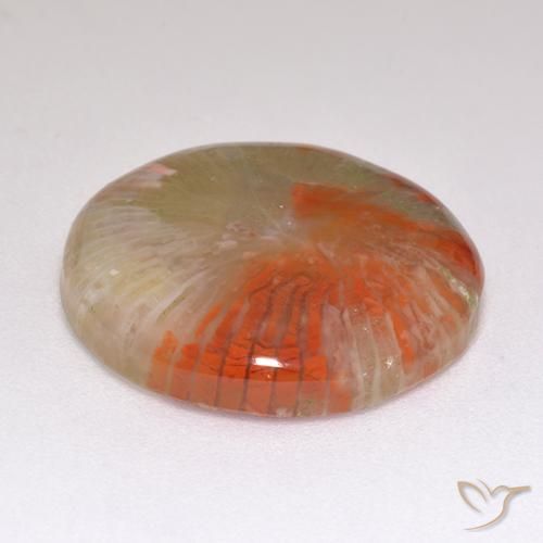 Corail Multicolore naturelle Tour, 9.29 ct, Translucide