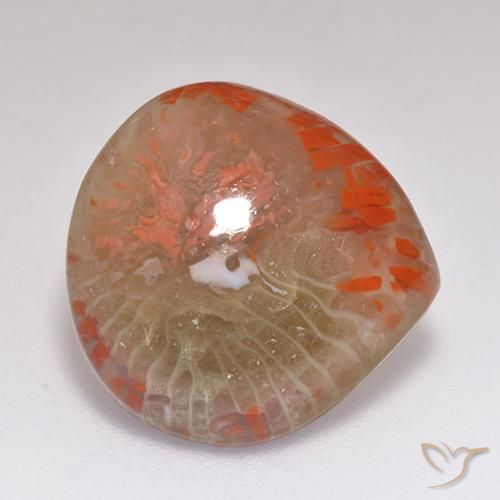Corail Multicolore naturelle En forme de poire, 9.67 ct, Translucide