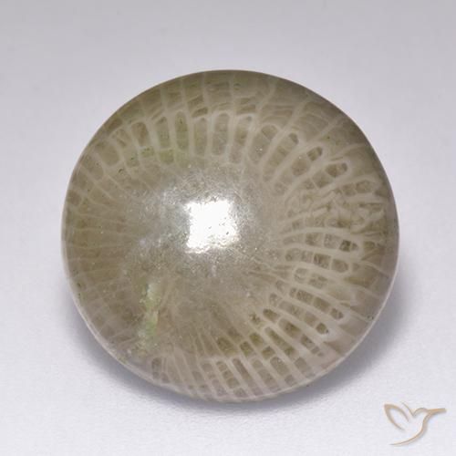 9.39ct Naturel Multicolore Corail, Tour, Opaque