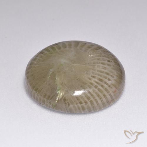 Corail Multicolore naturelle Tour, 9.39 ct, Opaque