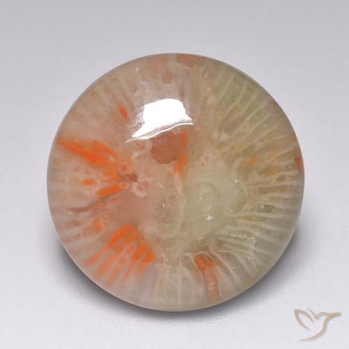 7.51ct Naturel Multicolore corail, Tour, Translucide