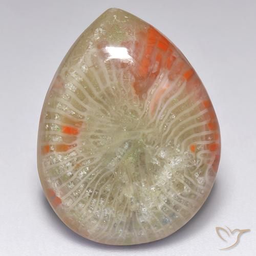 Corail multicolore naturelle en forme de poire, 9,84 ct, translucide