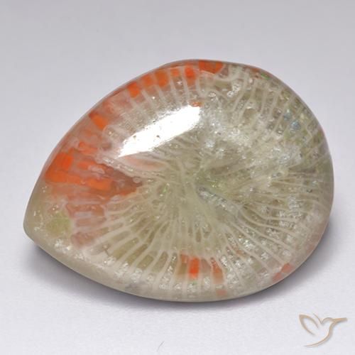 Corail multicolore naturelle en forme de poire, 9,84 ct, translucide