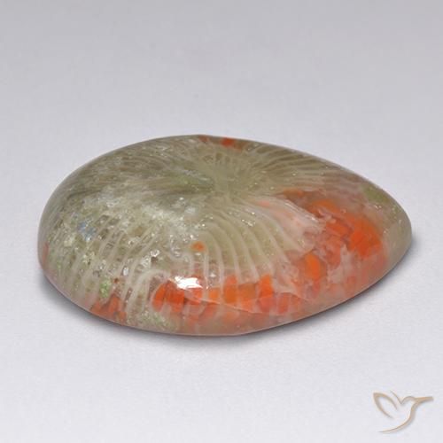 Corail multicolore naturelle en forme de poire, 9,84 ct, translucide