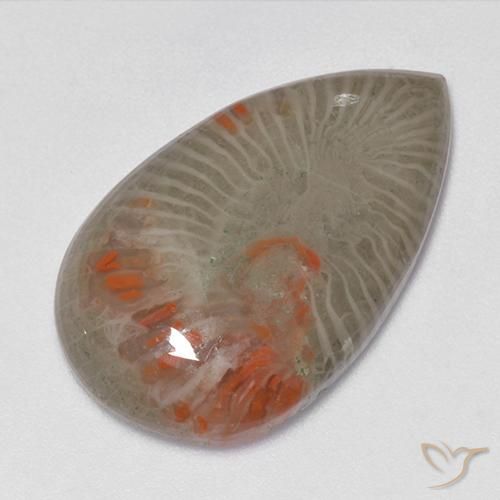 15.23ct Naturel Multicolore Corail, En forme de poire, Translucide