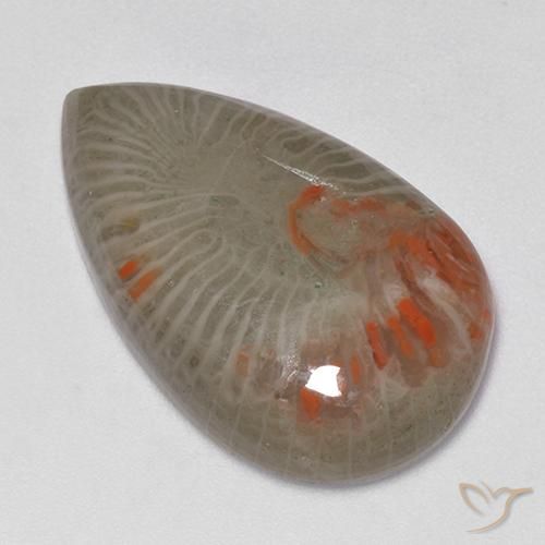 Corail Multicolore naturelle En forme de poire, 15.23 ct, Translucide