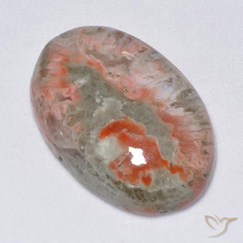 13.71ct Naturel Multicolore corail, ovale, Translucide