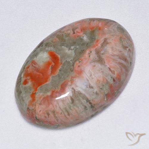 Corail Multicolore naturelle ovale, 13.71 ct, Translucide