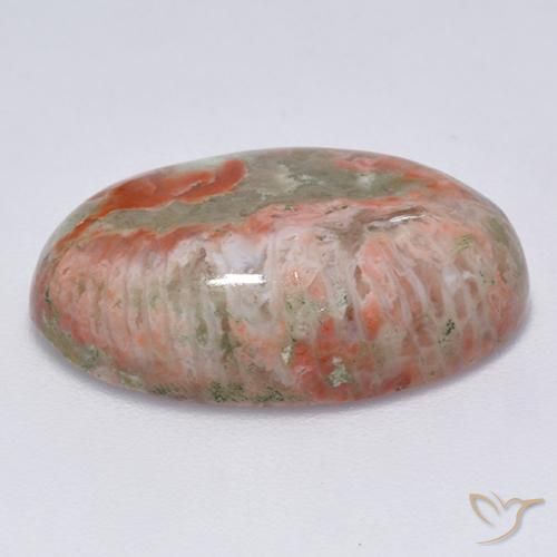 Corail Multicolore naturelle ovale, 13.71 ct, Translucide