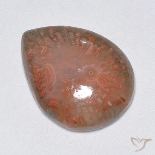 Corail Multicolore naturelle En forme de poire, 9.51 ct, Translucide