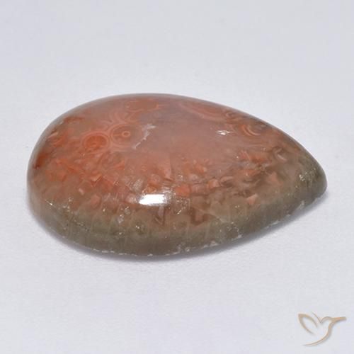 Corail Multicolore naturelle En forme de poire, 9.51 ct, Translucide