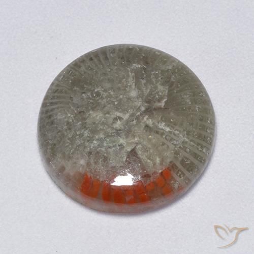 6.25ct Naturel Multicolore Corail, Tour, Translucide