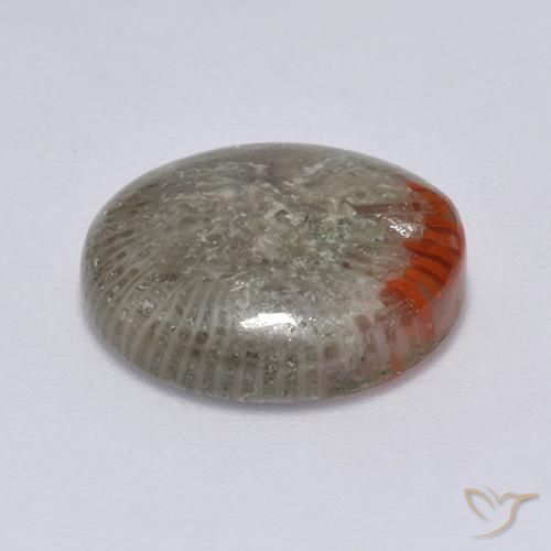 Corail Multicolore naturelle Tour, 6.25 ct, Translucide
