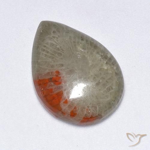 10.40ct Naturel Multicolore Corail, En forme de poire, Translucide