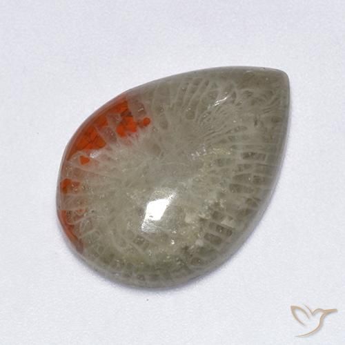 Corail Multicolore naturelle En forme de poire, 10.40 ct, Translucide