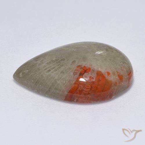 Corail Multicolore naturelle En forme de poire, 10.40 ct, Translucide