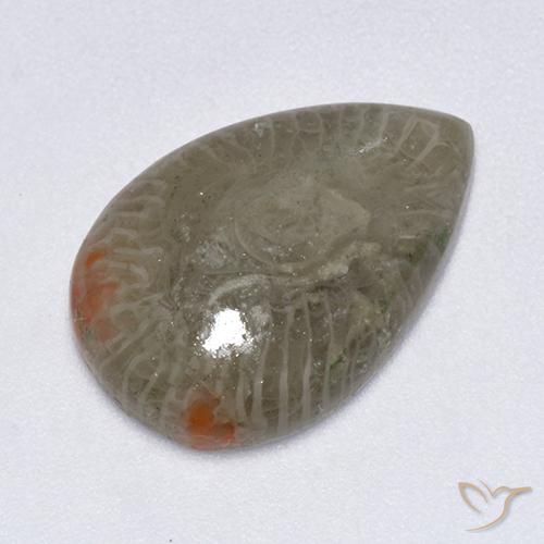 5.79ct Naturel Multicolore Corail, En forme de poire, Translucide