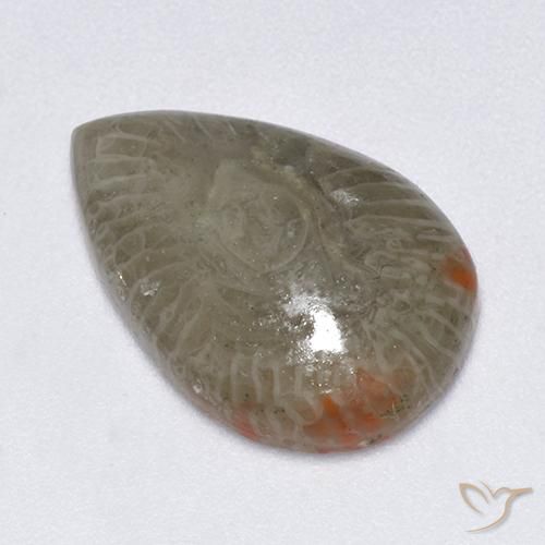Corail Multicolore naturelle En forme de poire, 5.79 ct, Translucide
