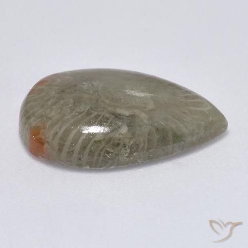 Corail Multicolore naturelle En forme de poire, 5.79 ct, Translucide