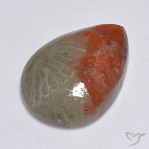 8.14ct Naturel Multicolore Corail, En forme de poire, Translucide