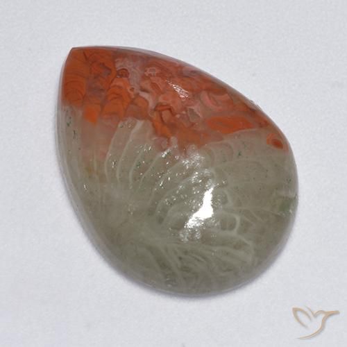 Corail Multicolore naturelle En forme de poire, 8.14 ct, Translucide