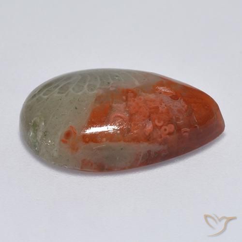 Corail Multicolore naturelle En forme de poire, 8.14 ct, Translucide