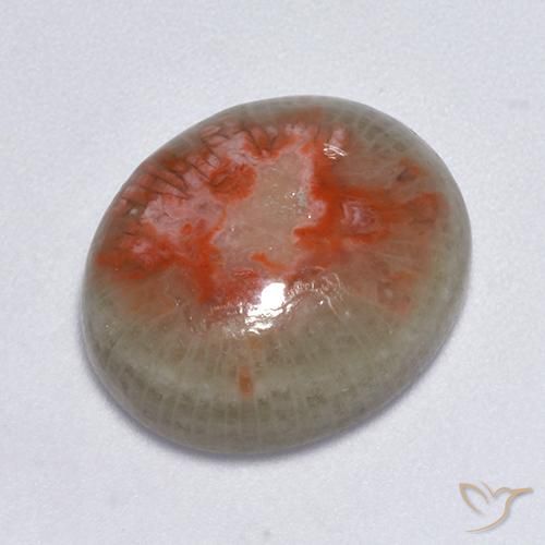 7.75ct Naturel Multicolore Corail, ovale, Translucide