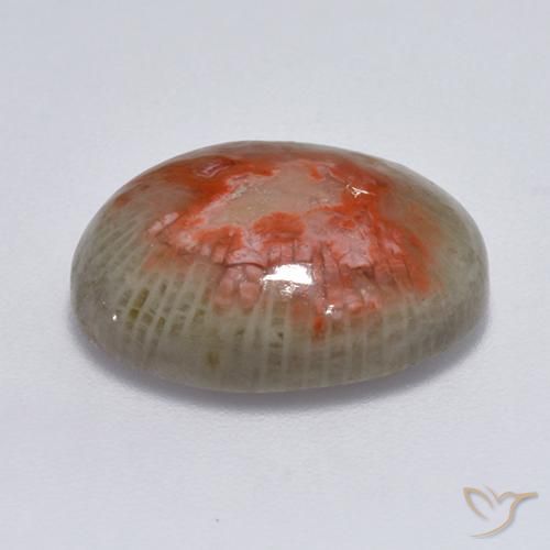 Corail Multicolore naturelle ovale, 7.75 ct, Translucide