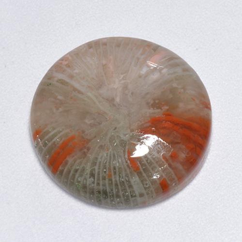 Corail Multicolore naturelle Coupe roude, 9.25 ct, Translucide