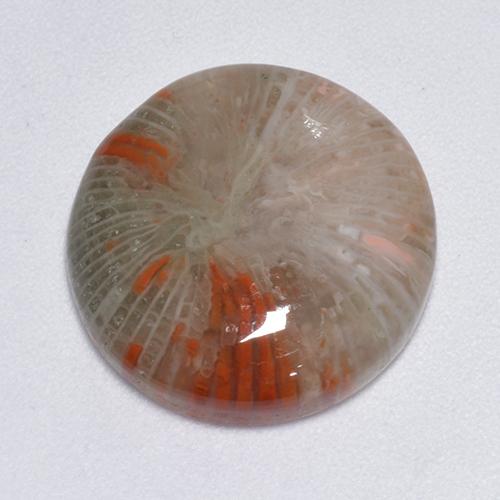 Corail Multicolore naturelle Coupe roude, 9.25 ct, Translucide