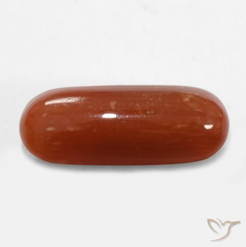 Corail Rouge feu naturelle ovale, 2.47 ct, Opaque