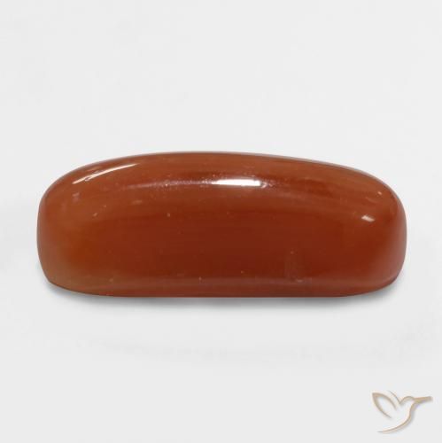 Corail Rouge feu naturelle ovale, 2.47 ct, Opaque