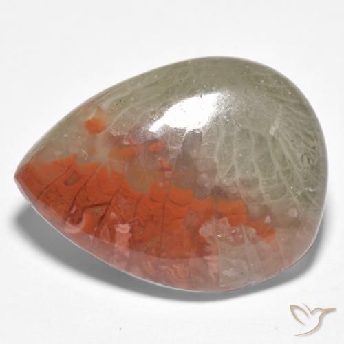 Corail Multicolore naturelle En forme de poire, 10.86 ct, Translucide