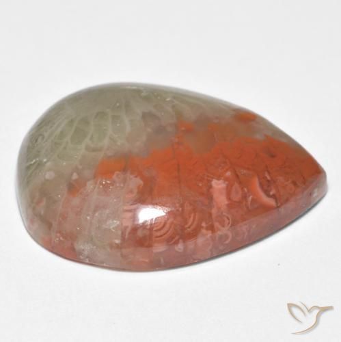 Corail Multicolore naturelle En forme de poire, 10.86 ct, Translucide