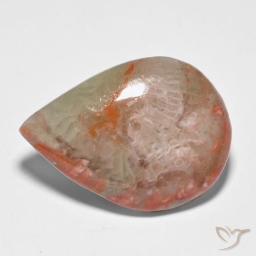 Corail Multicolore naturelle En forme de poire, 11.65 ct, Translucide