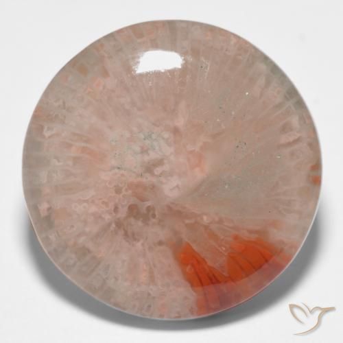 11.09ct Naturel Multicolore corail, Tour, Translucide