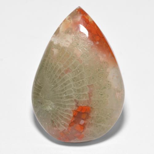 Corail multicolore naturelle en forme de poire, 15,90 ct, translucide