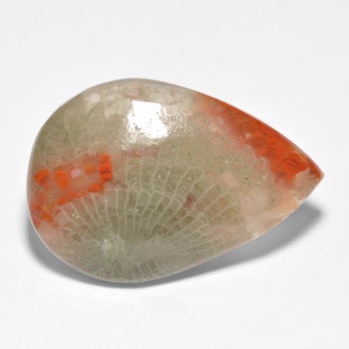 Corail multicolore naturelle en forme de poire, 15,90 ct, translucide