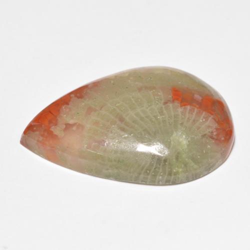 Corail multicolore naturelle en forme de poire, 15,90 ct, translucide