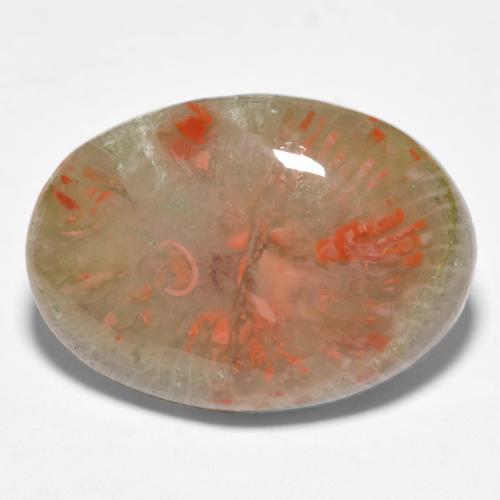 Corail multicolore naturelle coupe ovale, 10,04 ct, translucide
