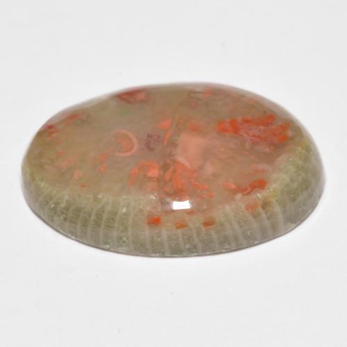 Corail multicolore naturelle coupe ovale, 10,04 ct, translucide