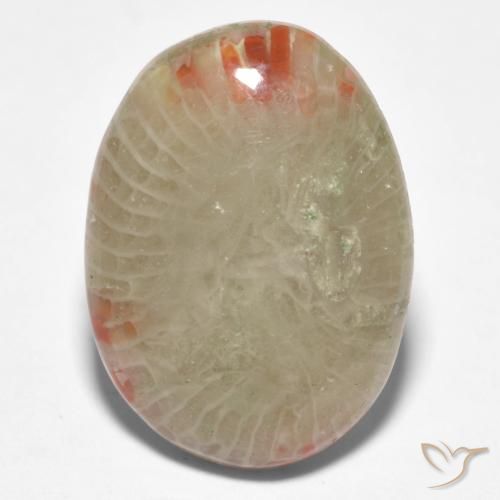 8.81ct Naturel Multicolore Corail, ovale, Translucide