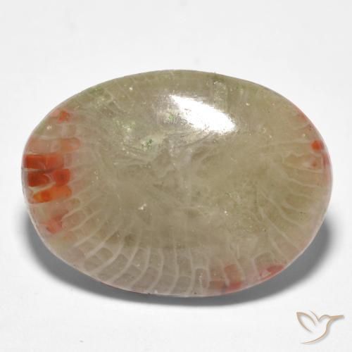 Corail Multicolore naturelle ovale, 8.81 ct, Translucide