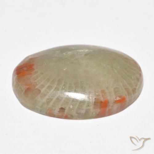 Corail Multicolore naturelle ovale, 8.81 ct, Translucide