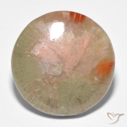 11.91ct Naturel Multicolore Corail, Tour, Translucide