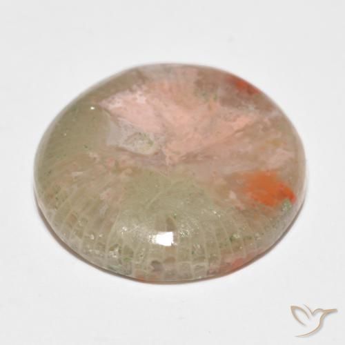 Corail Multicolore naturelle Tour, 11.91 ct, Translucide