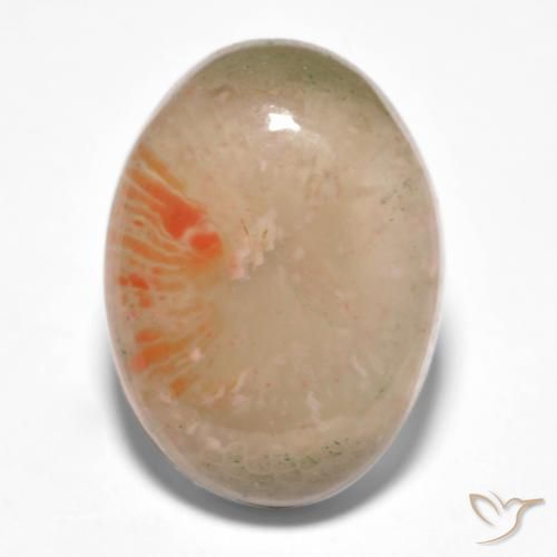 10.34ct Naturel Multicolore Corail, ovale, Translucide