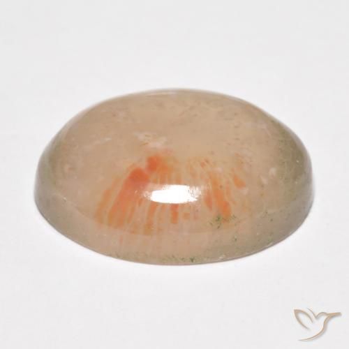 Corail Multicolore naturelle ovale, 10.34 ct, Translucide