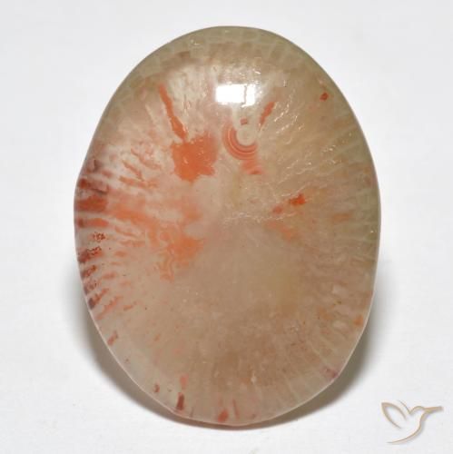 9.95ct Naturel Multicolore Corail, ovale, Translucide