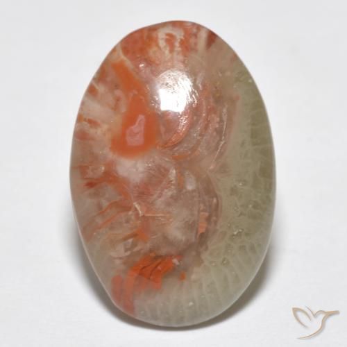 8.18ct Naturel Multicolore Corail, ovale, Translucide